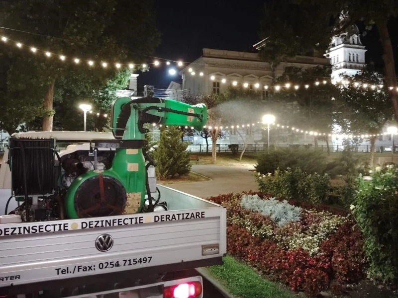 Primăria Arad: ultimele tratamente de dezinsecție împotriva țânțarilor
