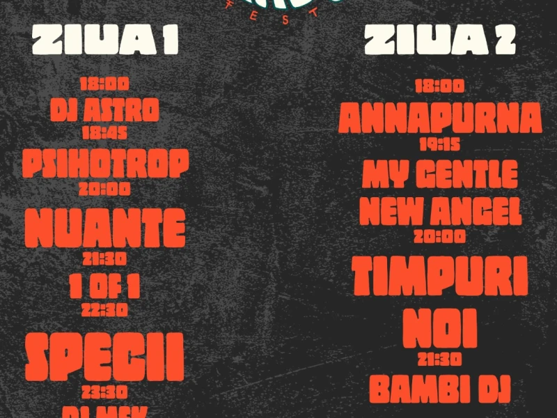 Primul festival caritabil de muzică la Arad