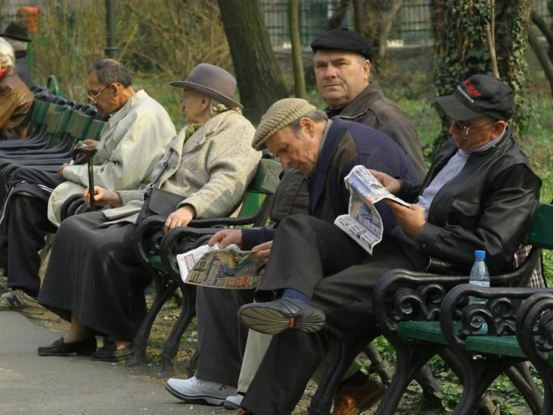 Ziua Internațională a Persoanelor Vârstnice: DSP Arad atrage atenția asupra sănătății și demnității seniorilor