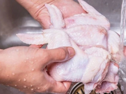 1 din 15 pui din supermarketuri este contaminat cu Campylobacter