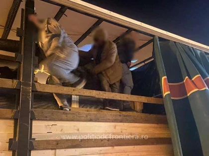 11 cetățeni străini ascunși în două automarfare, depistați la frontiera cu Ungaria
