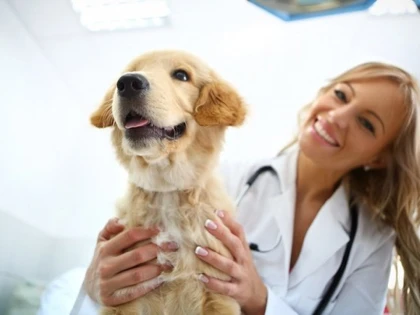 15 mai - Ziua națională a medicilor veterinari
