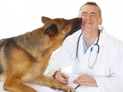 15 mai - Ziua naţională a medicului veterinar