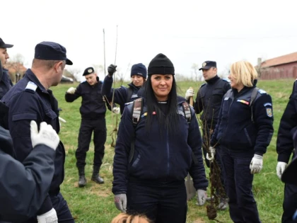 1500 de arbori redați naturii de jandarmi și voluntari, în cadrul proiectului ,,Plantăm fapte bune în România”