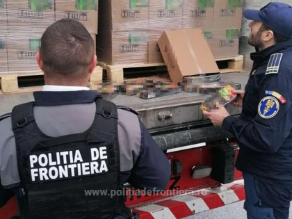22 de tone de tutun pentru narghilea, în valoare de 2,9 milioane euro, confiscate la P.T.F. Nădlac