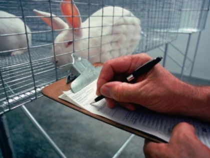 24 aprilie - Ziua mondială a protecţiei animalelor de laborator