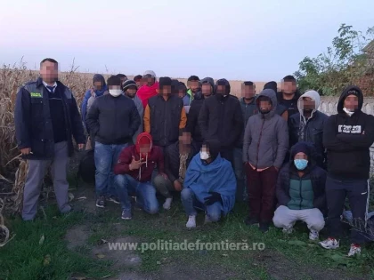 26 de cetățeni străini au fost depistați ascunși în porumb, în apropiere de Nădlac