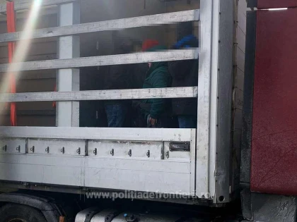 31 de cetăţeni străini ascunși în două automarfare, depistați de polițiștii de frontieră de la Nădlac II