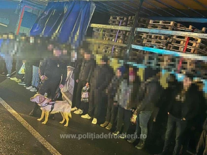48 de migranți au fost găsiți în cinci mijloace de transport, la P.T.F. Nădlac II