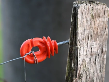 5 lucruri de evitat la construirea unui gard electric