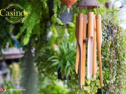 5 plante feng-shui care îți pot aduce noroc! Tu știai de existența lor?