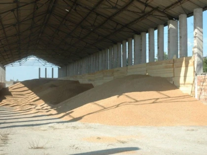 60 de tone de grâu românesc, cumpărate de Egipt