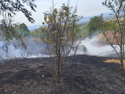 71 de misiuni ale pompierilor arădeni în weekend. Șapte incendii au fost stinse în județ