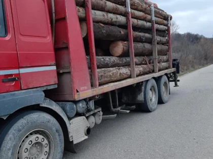 78 de metri cubi de lemne, în valoare de 14.500 de lei, recuperați de jandarmii arădeni