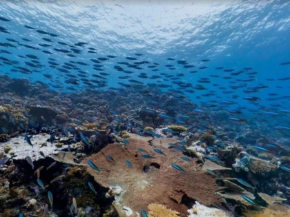8 iunie - Ziua mondială a oceanelor