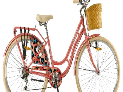 A furat o bicicletă de damă, din gara de la Semlac