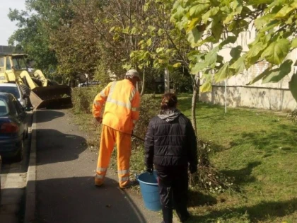 A INCEPUT CURATENIA DE TOAMNA IN MUNICIPIUL ARAD