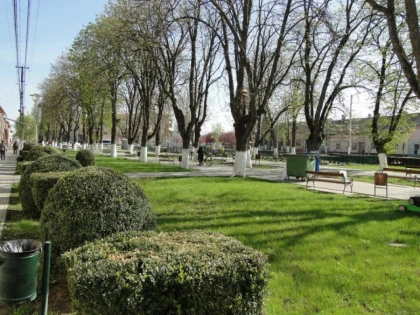 A început curățenia de toamnă la Pecica