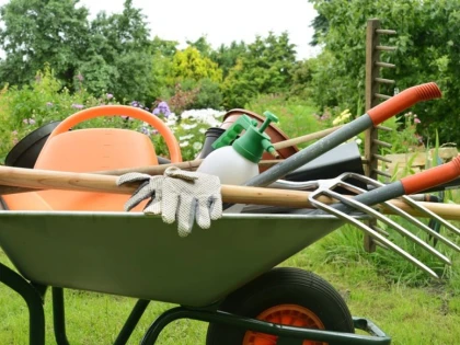 A venit primăvara! Ce lucrări sunt recomandate pentru grădină