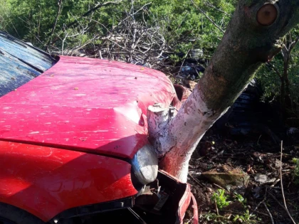 Accident provocat de un tânăr de 19 ani, care a intrat cu mașina într-un copac
