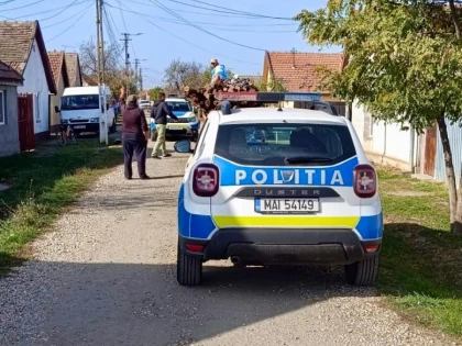 Acțiune de amploare în Pecica. 14 persoane au fost duse la sediul poliției