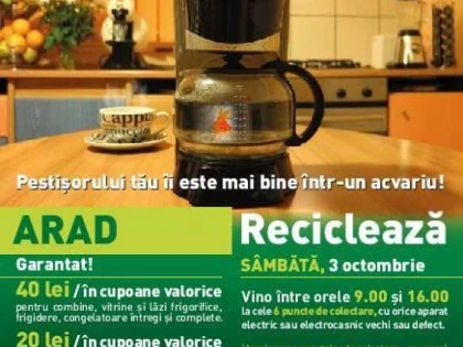 ACTIUNE DE COLECTARE A DESEURILOR ELECTRICE SI ELECTROCASNICE ORGANIZATA DE PRIMARIA ARAD
