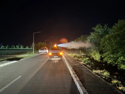 Acțiune de dezinsecție pe domeniul public și privat al municipiului Arad