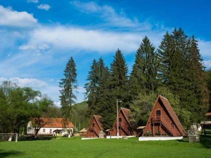 Activități ecologice în Tabăra de la Căsoaia