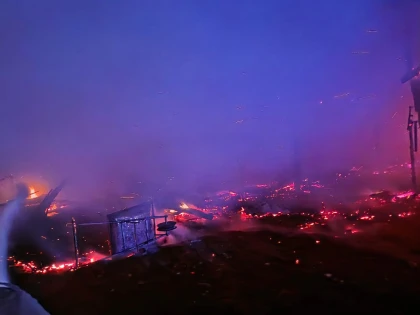 Adăpost de animale din Ineu, distrus în urma unui incendiu