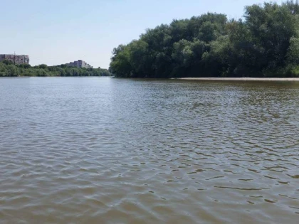 Administrația Parcului Natural Lunca Mureșului a lansat oficial filmul de prezentare a parcului