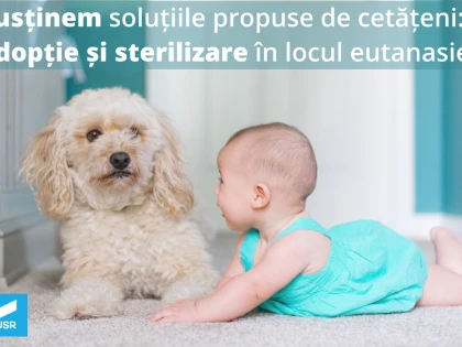 Adopție și sterilizare în locul eutanasiei! Asta doresc iubitorii de animale din Arad