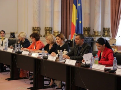 Adrian Wiener, unul dintre moderatorii conferinței „Egalitatea de gen: Test pentru democrație”