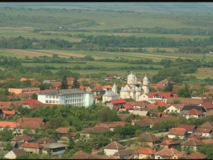 Alertă la Gurahonț după ce un vițel a fost găsit mort. Suspiciuni că a fost atacat de un animal sălbatic de talie mare