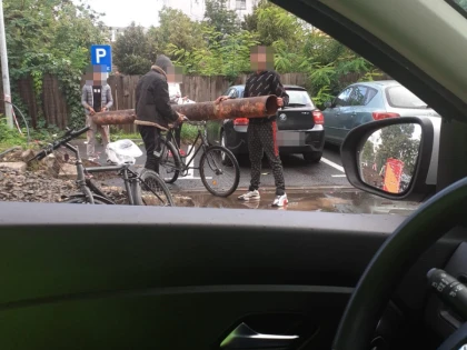Alfa și Confecții, cartierele unde se fură ca-n codru