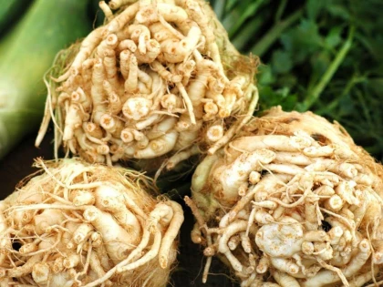 ALIMENTUL CARE IMBUNATATESTE SANATATEA ARTICULARA