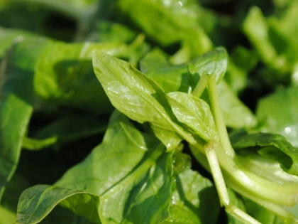 ALIMENTUL-MINUNE CARE SCADE POFTA DE DULCIURI SI FAST-FOOD