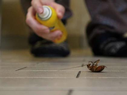 Alţi doi soţi au murit după ce au dat cu insecticid de ţânţari. Avertismentul medicilor