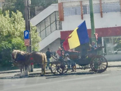 Amendă în valoare de 1.882 de lei pentru un bărbat care s-a plimbat cu căruța prin Arad