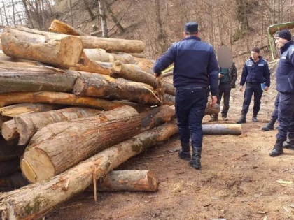 Amenzi în valoare de 2900 lei date de jandarmii arădeni la sfârșit de săptămână