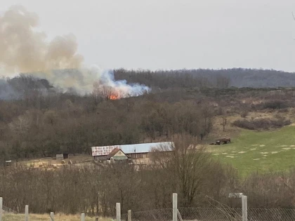 Amploarea incendiului de la Tauț - au ars mai multe hectare decât in toată perioada anului trecut, de la nivelul județului Arad!
