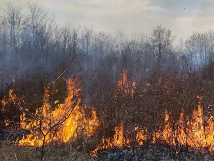 Anchetă în județul Arad, după ce incendiile au afectat peste 200 de hectare de teren într-o singură zi