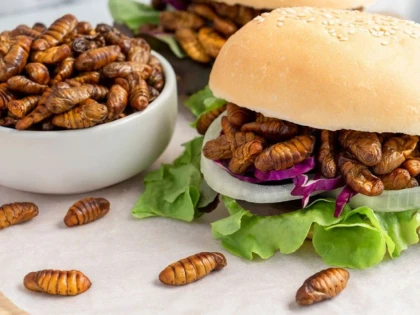 ANPC, reguli noi privind produsele alimentare ce conțin insecte. Ce obligații au comercianții