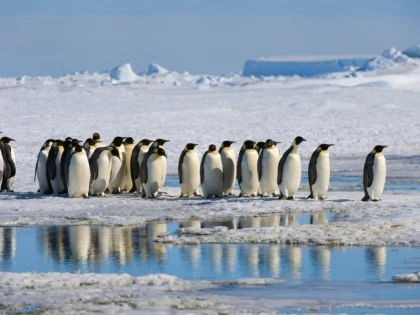 Antarctica este pregătită pentru tricouri cu mânecă scurtă