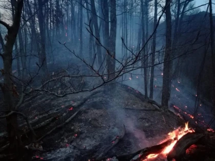 Apel către populație pentru prevenirea incendiilor de pădure