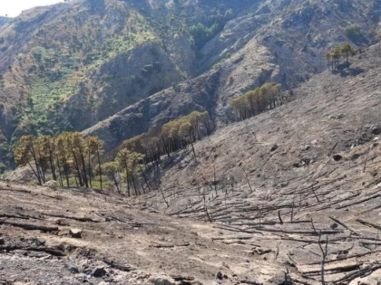 Aproape 50 de grade, temperatură record în Europa