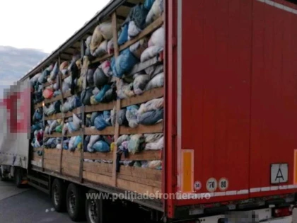Aproximativ 137 tone deşeuri oprite la intrarea în țară, la Nădlac II