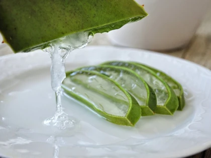 Ar trebui să fim atenți la aloe vera?