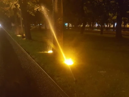 Arad... plouă... aspersoarele funcţionează. Drei wetter Falcă