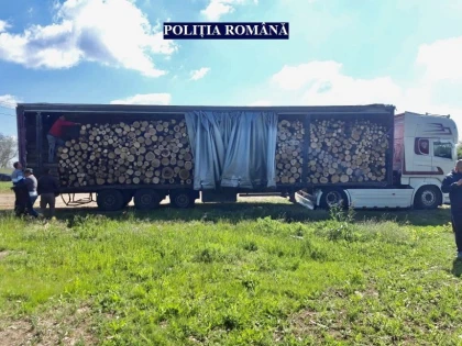 Arădean prins în timp ce transporta ilegal lemne