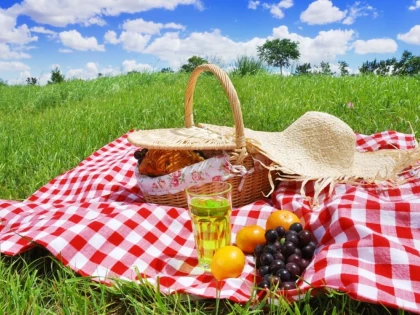 ARADENII SUNT INVITATI LA PICNICUL COPILARIEI